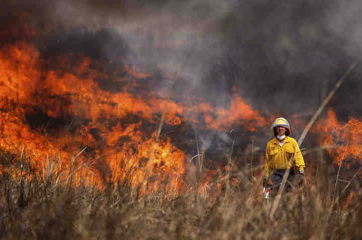 A prescribed fire was conducted at Wolf Run Regional park. Greg Pifer, a volunteer, walks through the tall grass, setting a back fire. Burns such as this are designed to manage invasive plants and restore nutrients to the soil. A total of 23 acres were burned.  (Joshua Morrison / Freelance)